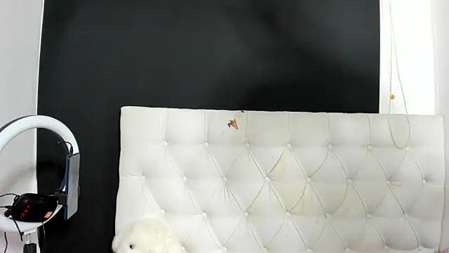 evelynesex online show from March 13, 4:36 am