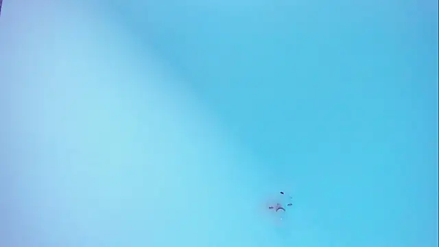 Ellope  online show from November 19, 10:10 pm