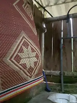 PhanHaa online show from March 9, 12:14 am