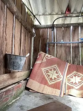 PhanHaa online show from February 23, 2:56 am