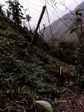 quynhkoolbae online show from March 23, 9:26 am