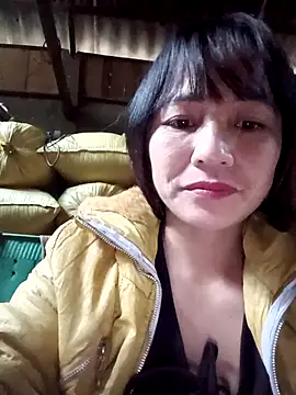 Mini3333 online show from December 23, 9:46 am