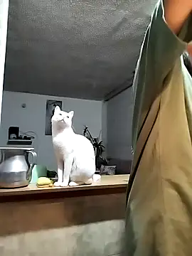 MiaAmore  online show from April 3, 12:30 am