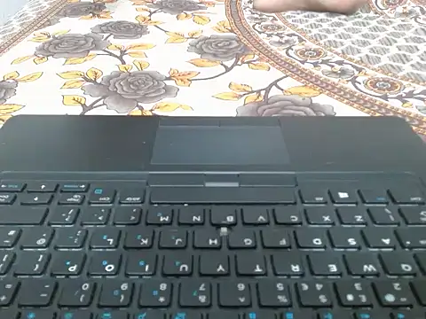 Vaani Singha online show from September 20, 8:29 pm