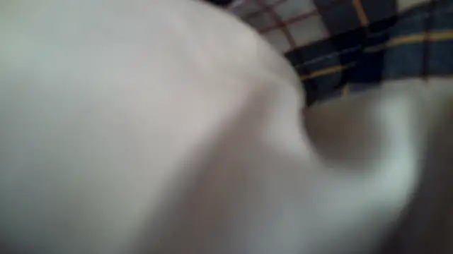 lexibooty online show from November 15, 3:40 am