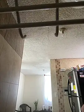 kattytamil online show from October 2, 2:55 pm