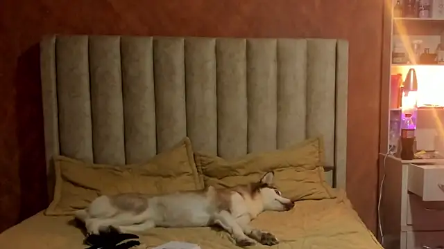 Naomi 205 online show from September 30, 7:52 pm