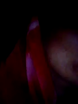 H seema online show from December 15, 12:21 pm