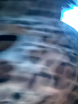 Monse--145 online show from November 17, 10:43 pm