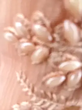 Marathi rani2 online show from September 13, 9:06 am