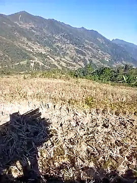 kemtuoi-sex online show from November 30, 3:32 am