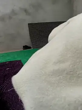 Hot hatn37 online show from December 1, 10:30 am