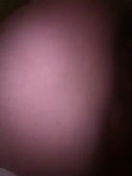 LatinGordis online show from December 17, 3:44 am