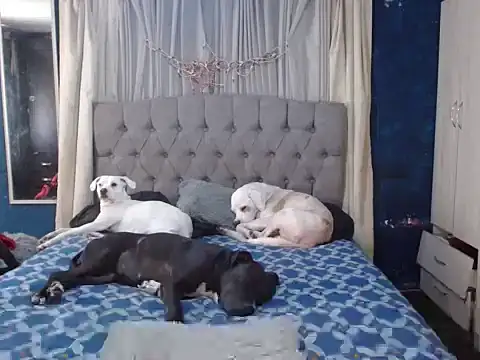 skarleth hot21 online show from October 22, 6:46 pm