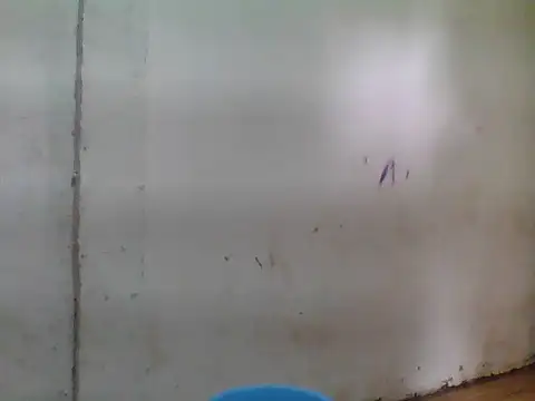 sweet bella16 online show from January 16, 1:34 am