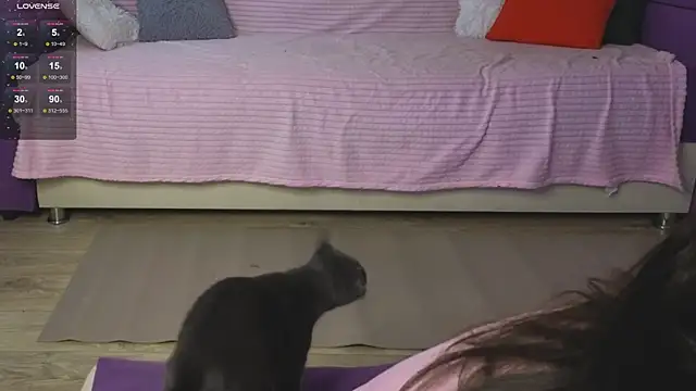 Gentle Ariel online show from July 18, 3:32 am