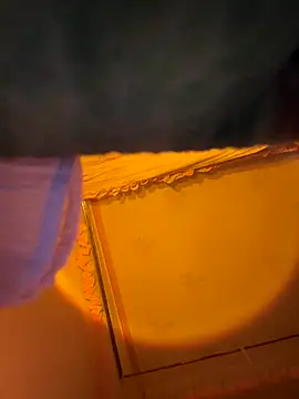 Tramy xx online show from January 6, 3:21 am