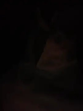 Halyy xx online show from March 4, 1:28 pm