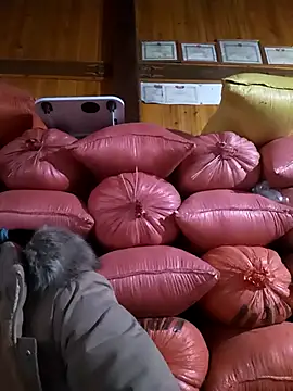 vtmbae online show from February 4, 6:49 am