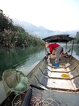 Meoweo 23 online show from December 19, 12:15 am