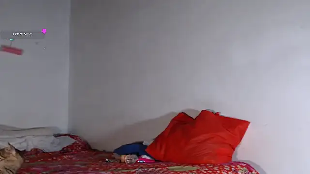 staicy26 online show from November 16, 12:23 am