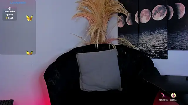 cloemorningstar online show from November 20, 3:46 pm