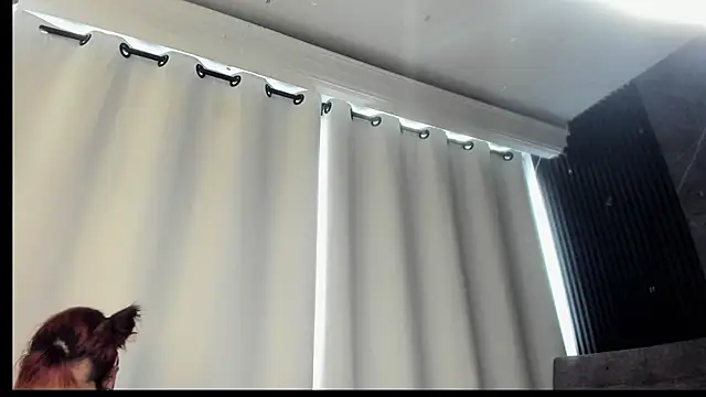 cloemorningstar online show from November 6, 5:30 pm