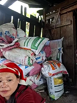 miomio-12 online show from March 3, 9:04 am