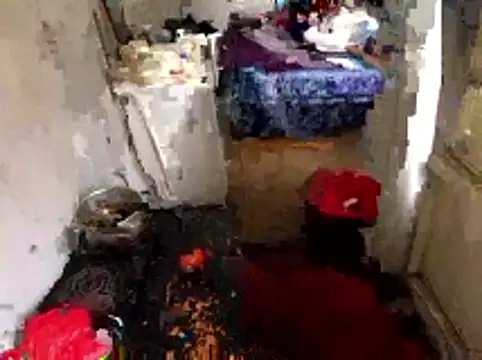 Venusasss online show from February 13, 1:24 pm