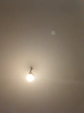 labellerose online show from April 28, 5:06 pm