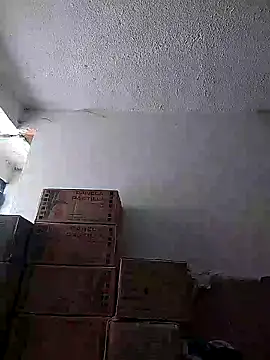 Cristal-sm online show from November 20, 2:29 pm