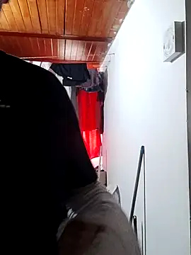 Rhosynn online show from April 3, 9:46 pm