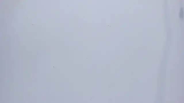 mirandaduboiss online show from April 13, 5:14 pm