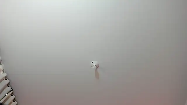 eimyy rouse online show from February 26, 7:46 pm