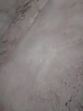 kari 24 online show from December 3, 5:04 pm