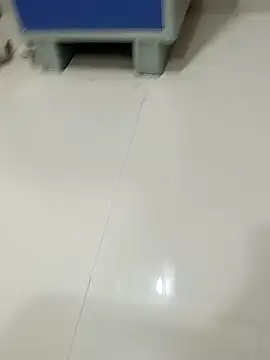 bigtelugubhama online show from November 16, 7:14 pm