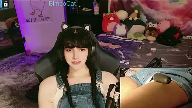 BimboCat online show from December 14, 1:11 am