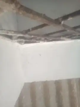 Pallu Asha online show from April 28, 12:52 am