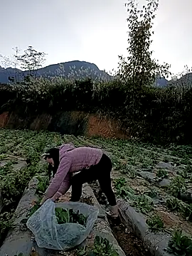 min nyny online show from November 27, 9:34 am