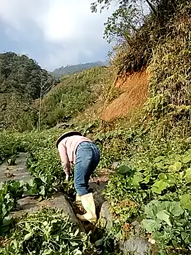 min nyny online show from December 2, 2:02 am