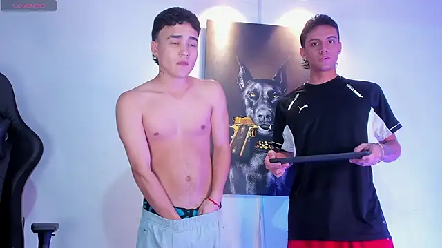 stiven 24cm online show from December 4, 4:04 am