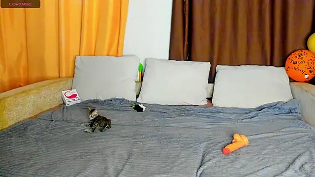 Eva purrr  online show from November 11, 11:40 am