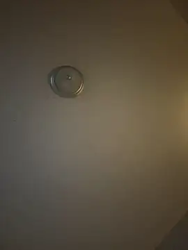 petitegirl467 online show from November 22, 2:25 am