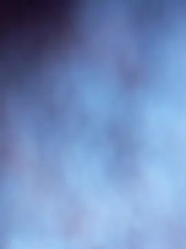 Tayanehot online show from November 26, 9:21 am