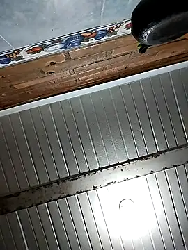 LeiaOrganal online show from November 13, 10:42 pm