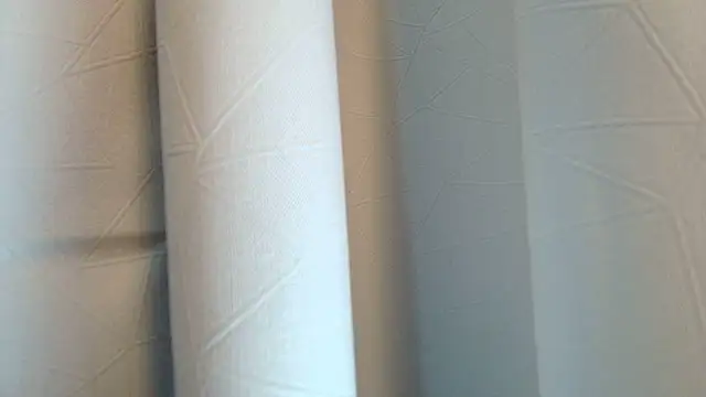 LilyFox t online show from November 11, 1:30 pm