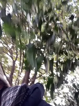 pitty mymi online show from January 17, 5:59 am