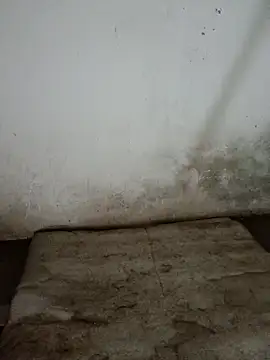 Sunenabhabh online show from March 26, 9:05 pm