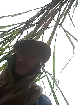 nangmo online show from March 14, 8:04 am