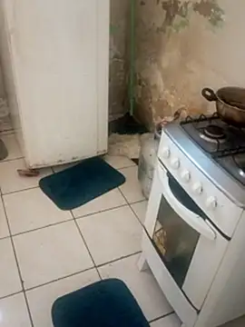  - putinha - online show from December 18, 11:37 am